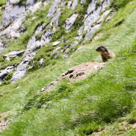 T2 Avec Terrasse, Coin Nuit, Parking Et Proximite Telecabine - 4 Pers. - Fr-1-401-66 קאוטרט