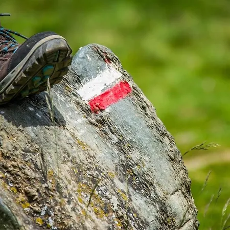 T2 Avec Terrasse, Coin Nuit, Parking Et Proximite Telecabine - 4 Pers. - Fr-1-401-66 Lejlighed