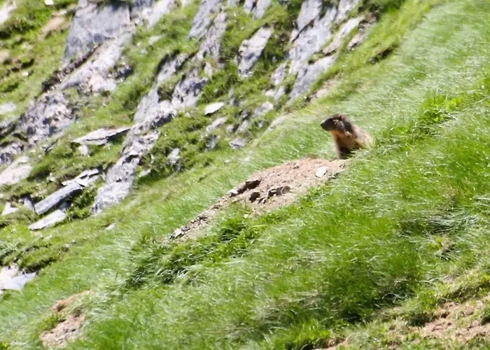 T2 Avec Terrasse, Coin Nuit, Parking Et Proximite Telecabine - 4 Pers. - Fr-1-401-66 Котре